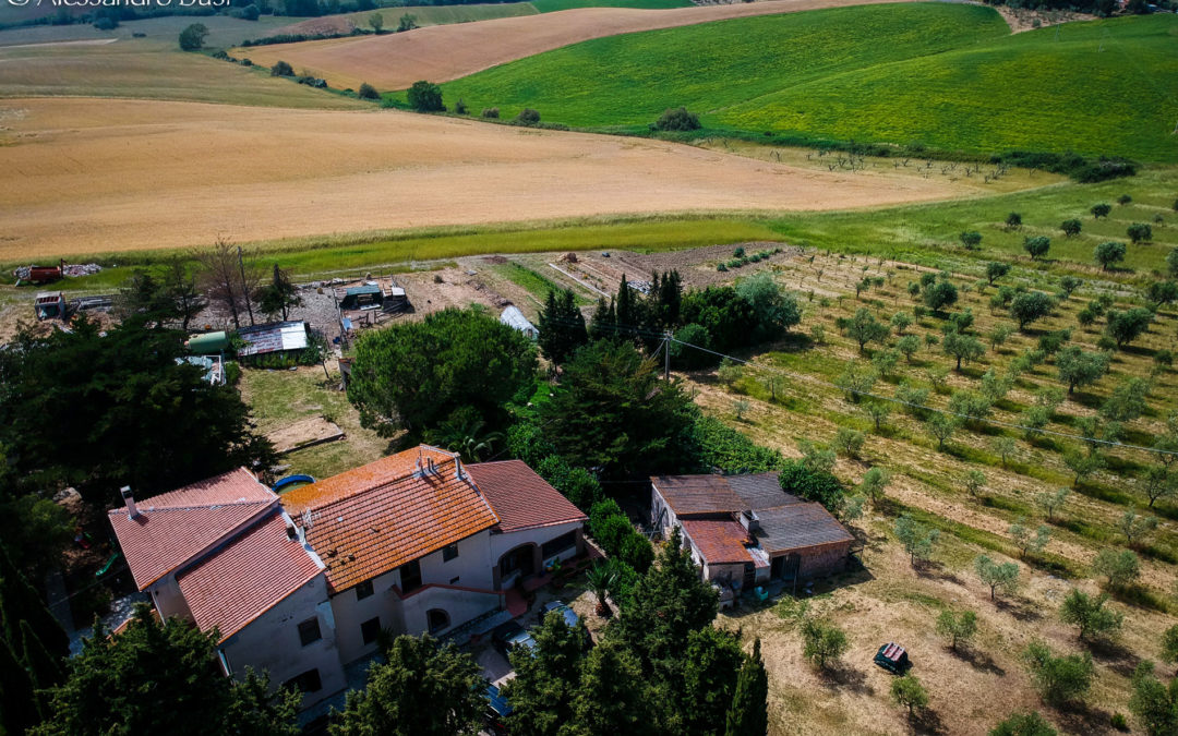 Agriturismo Mandriato