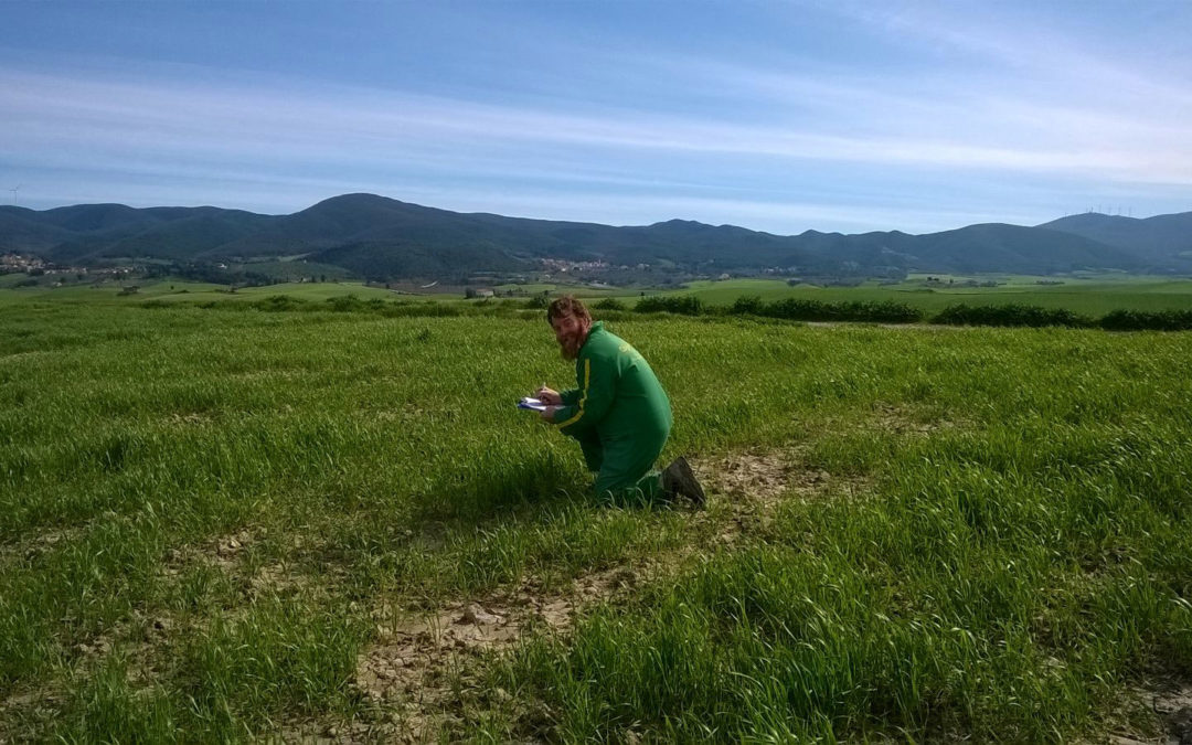 Azienda Agricola Podere Mandriato