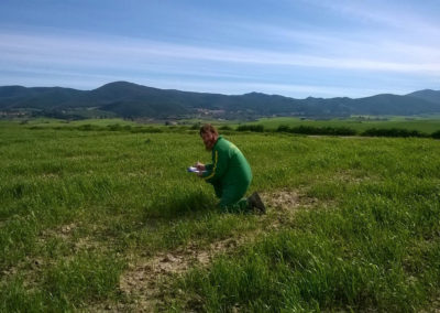 Azienda Agricola Podere Mandriato