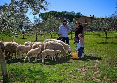 Azienda Agricola Il Meletto