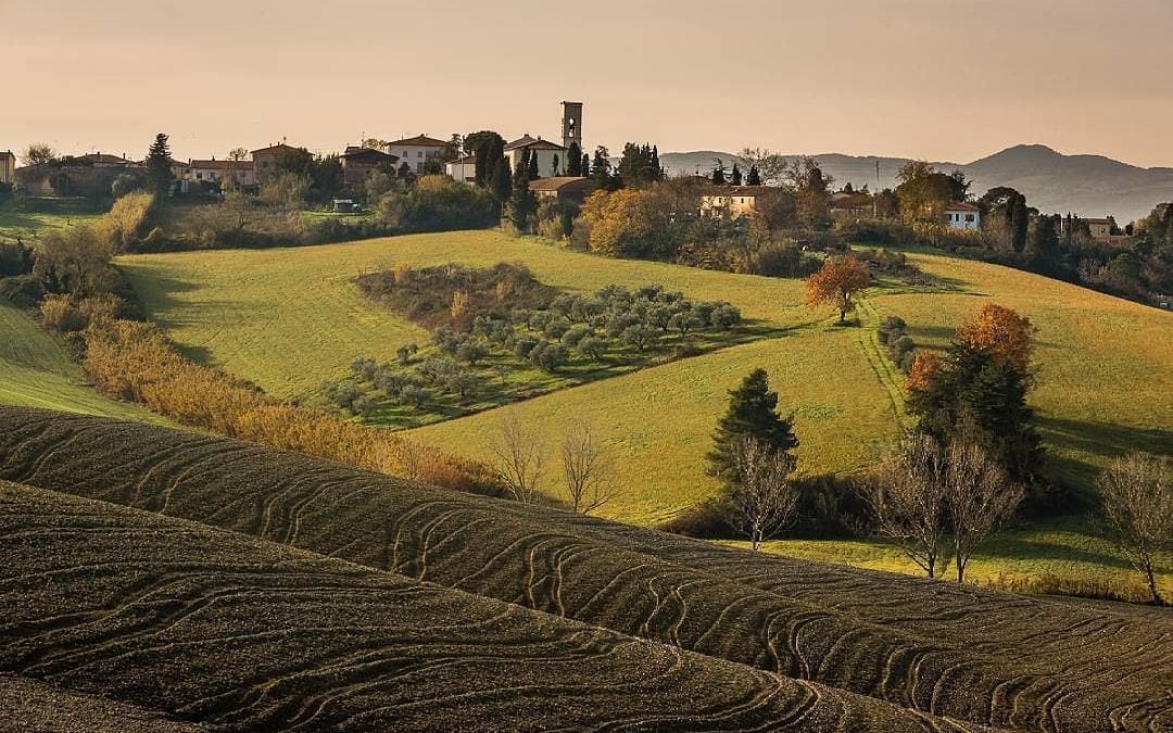 Borgo di Orciano Pisano