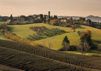 Borgo di Orciano Pisano