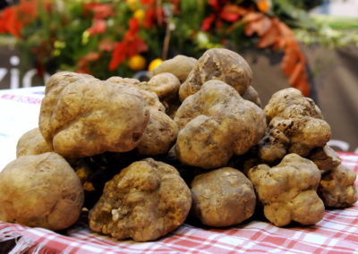 Il tartufo bianco di San Miniato