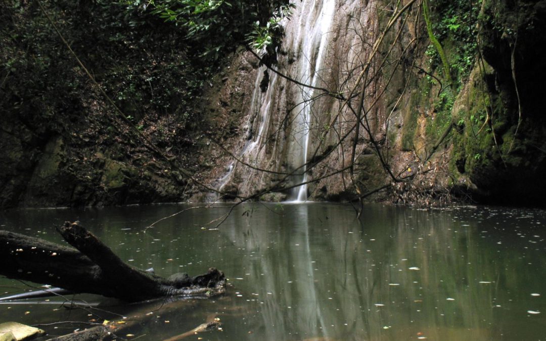 Dalla Cascata dell’Alloro a Monteforti