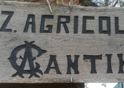 Cantini Raffaele (Azienda Agricola)