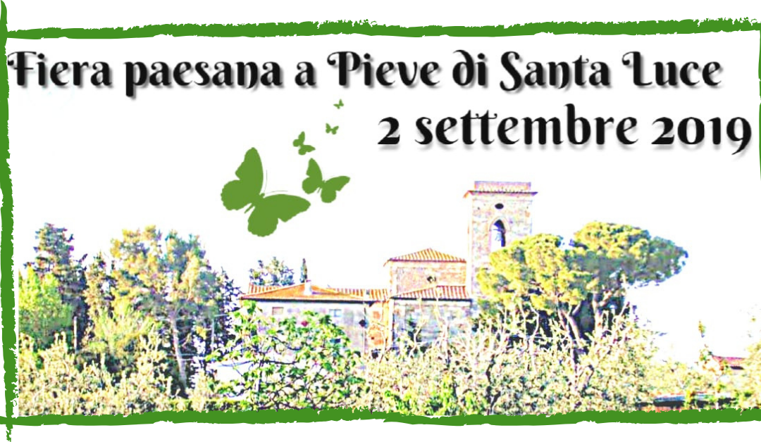 Festa Paesana Pieve Santa Luce