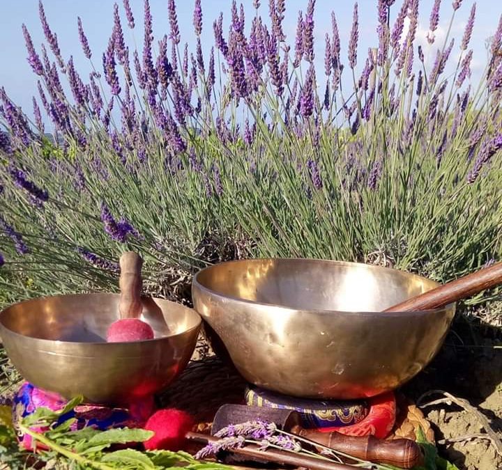 Corso di armonizzazione con campane tibetane e olio di lavanda