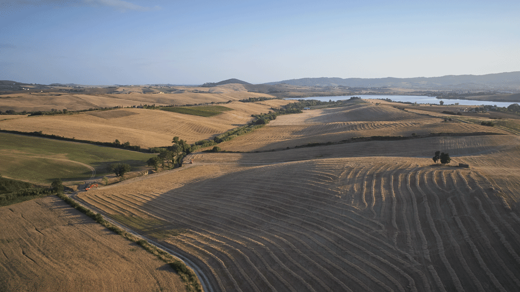 Azienda BioAgricola Bertoli